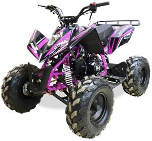 Квадроцикл MOTAX ATV T-Rex-LUX 125 сс Черно-фиолетовый
