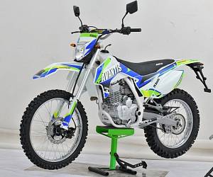 Мотоцикл Avantis FX 250 (172 FMM Design HS 2019) с ПТС